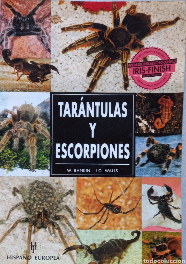 Libros: Tar&aacute;ntula y escorpioned - Foto 1