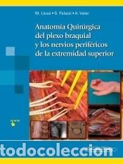 Libros: Anatom&iacute;a quir&uacute;rgica del plexo braquial y nervios perif&eacute;ricos de la extremidad superior - Llus&aacute;