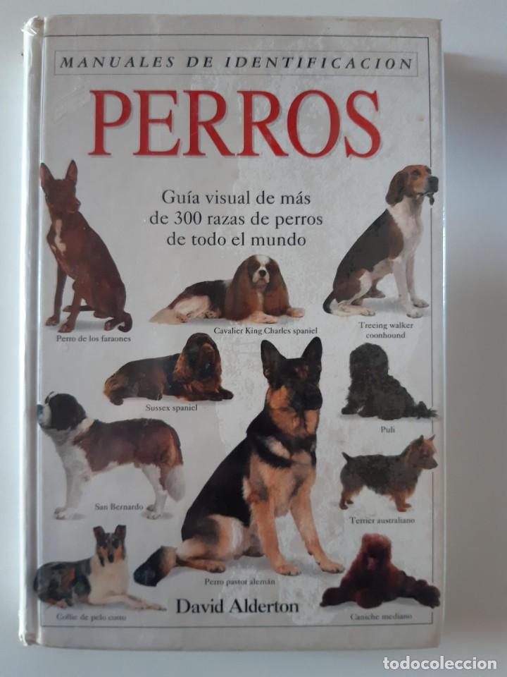 Libros: MANUALES DE IDENTIFICACION PERROS DAVID ALDERTON - Foto 1