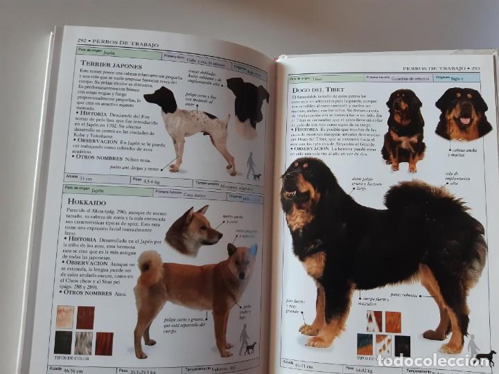 Libros: MANUALES DE IDENTIFICACION PERROS DAVID ALDERTON - Foto 3