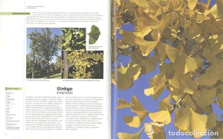 Libros: &Aacute;rboles. Aprender a reconocerlos - Foto 2