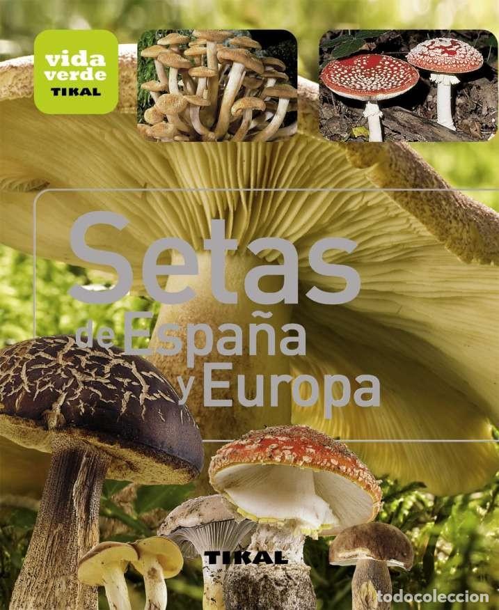 Libros: Setas de Espa&ntilde;a y Europa - Foto 1