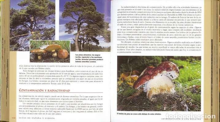 Libros: Setas de Espa&ntilde;a y Europa - Foto 2