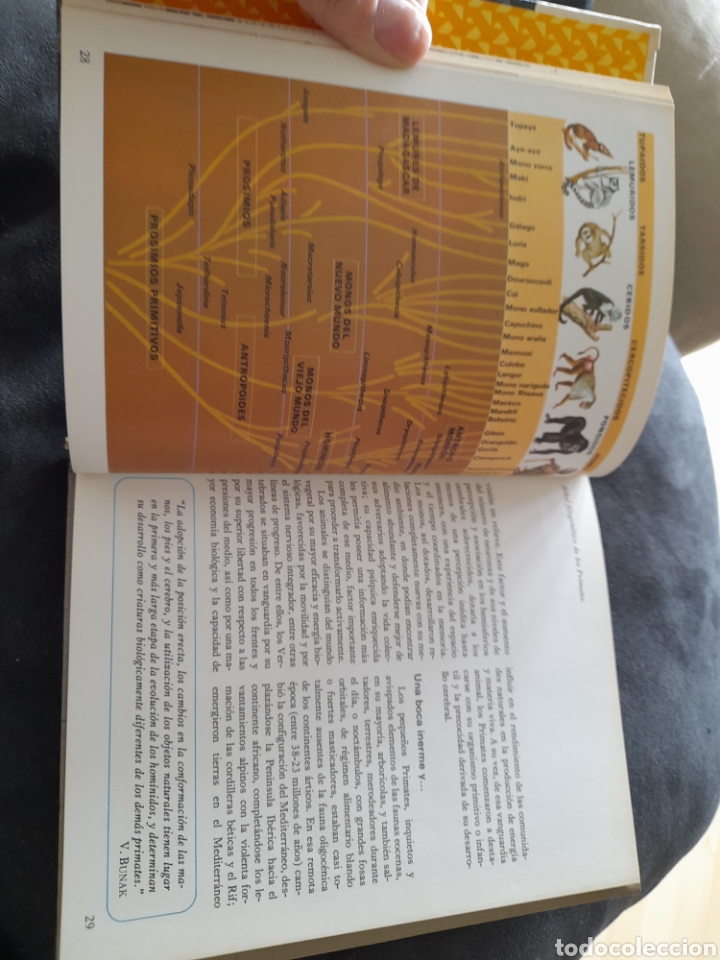 Libros: El origen del hombre - Foto 2