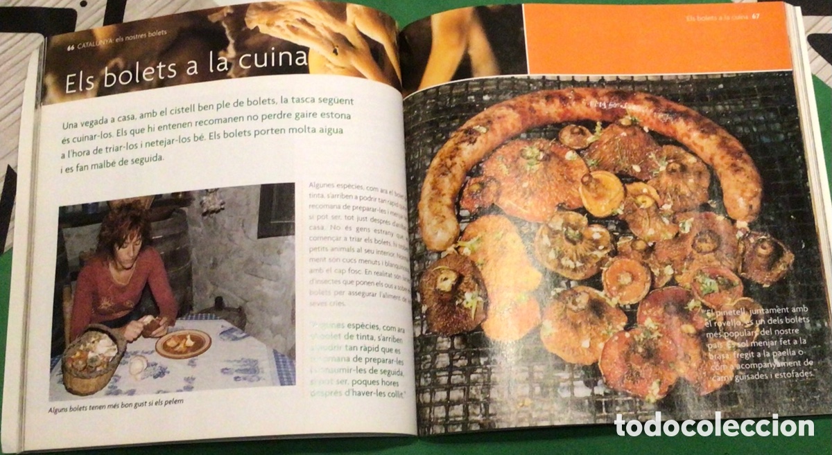 Libros: CATALUNYA: Els nostres bolets - Foto 2