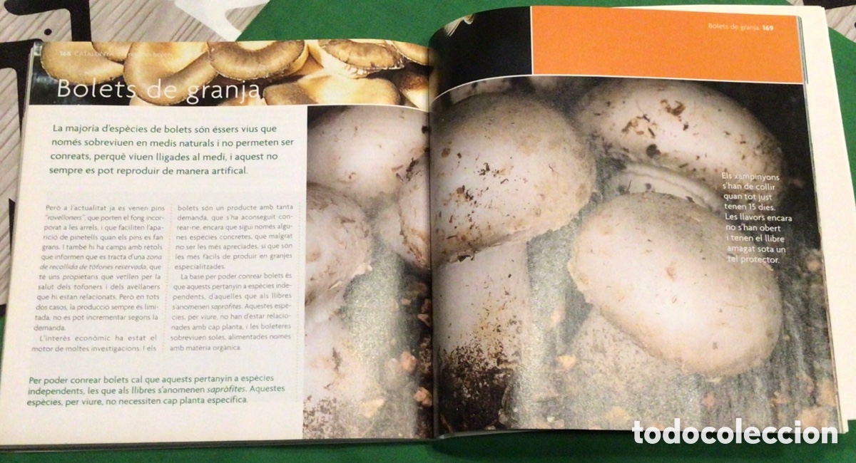 Libros: CATALUNYA: Els nostres bolets - Foto 4