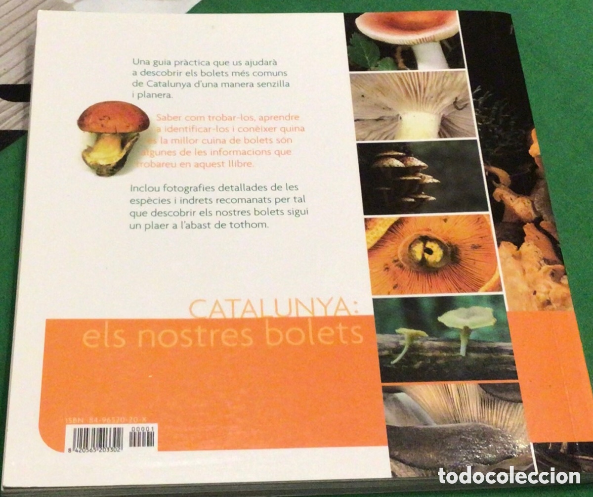 Libros: CATALUNYA: Els nostres bolets - Foto 6