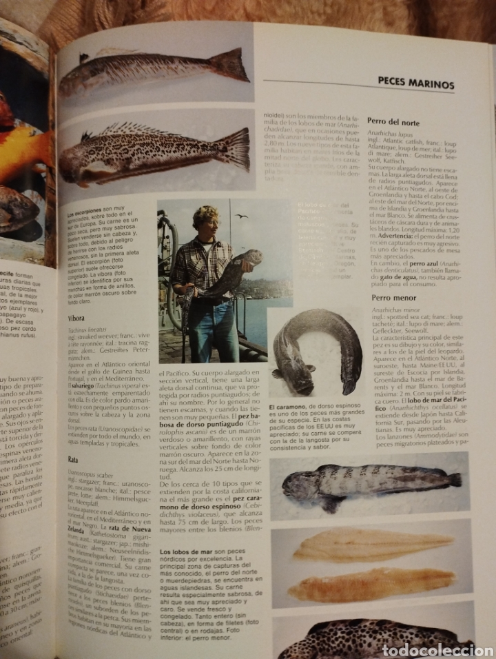 Libros: El gran libro del pescado - Foto 4