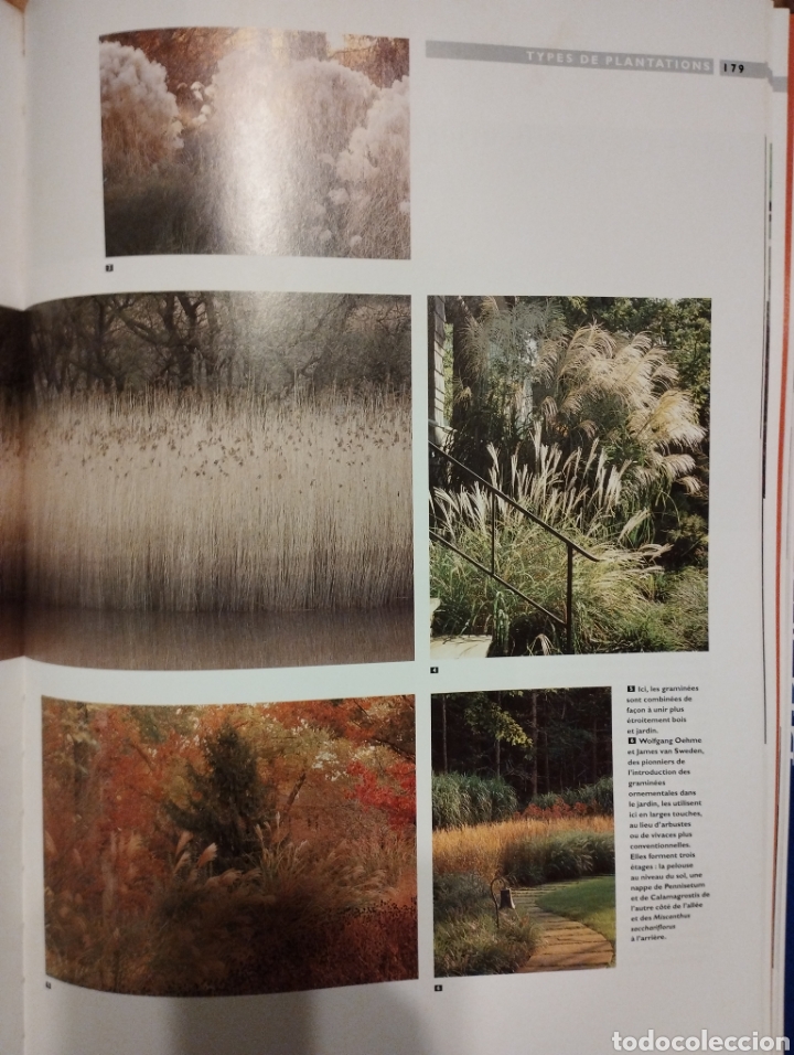 Libros: Le jard&iacute;n une source inepuisable dinspurarion - Foto 3