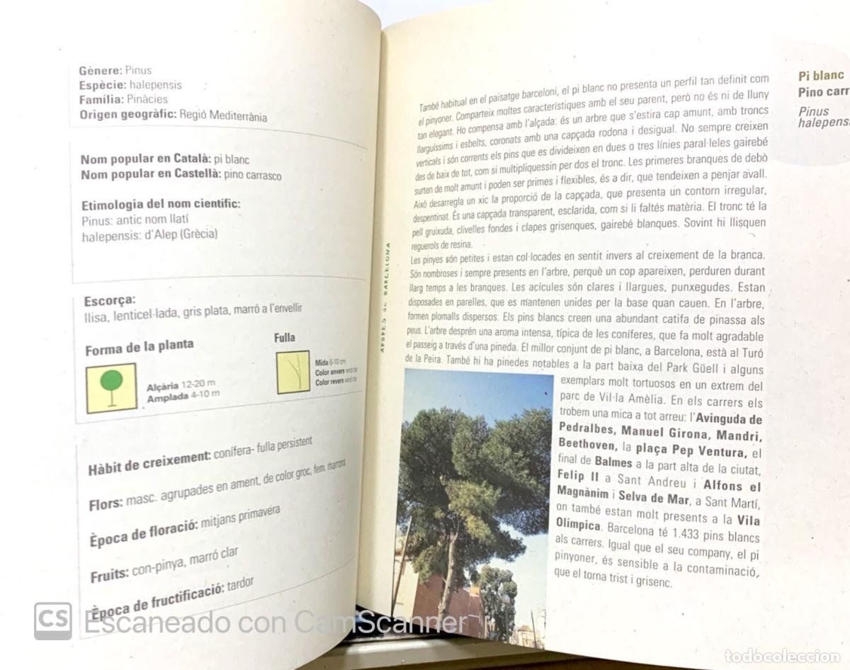Libros: ARBRES DE BARCELONA ccccccc - Foto 2