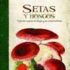 Libros: SETAS Y HONGOS: TODAS LAS ESPECIES DE HONGOS Y SUS CARACTERÍSTICAS - ALDAVE, MARÍA; EQUIPO EDITORIAL. Lote 401653639