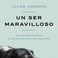 Libros: UN SER MARAVILLOSO - HOWARD, JULES. Lote 402415594