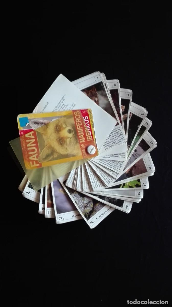 Libros: GUIA MAMIFEROS IBERICOS - Foto 2