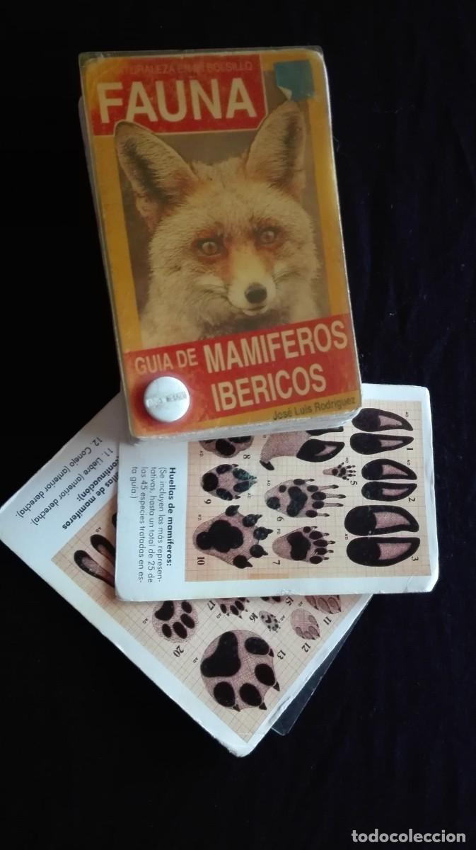 Libros: GUIA MAMIFEROS IBERICOS - Foto 3