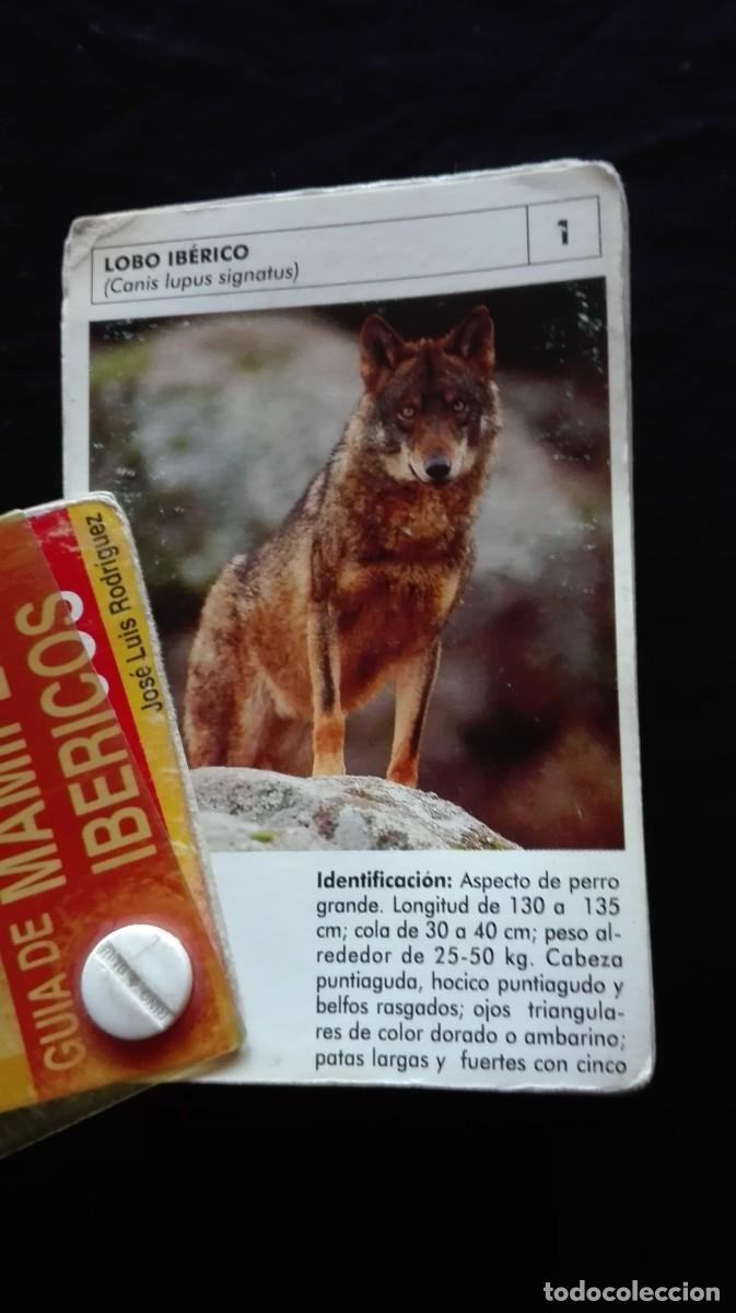 Libros: GUIA MAMIFEROS IBERICOS - Foto 4