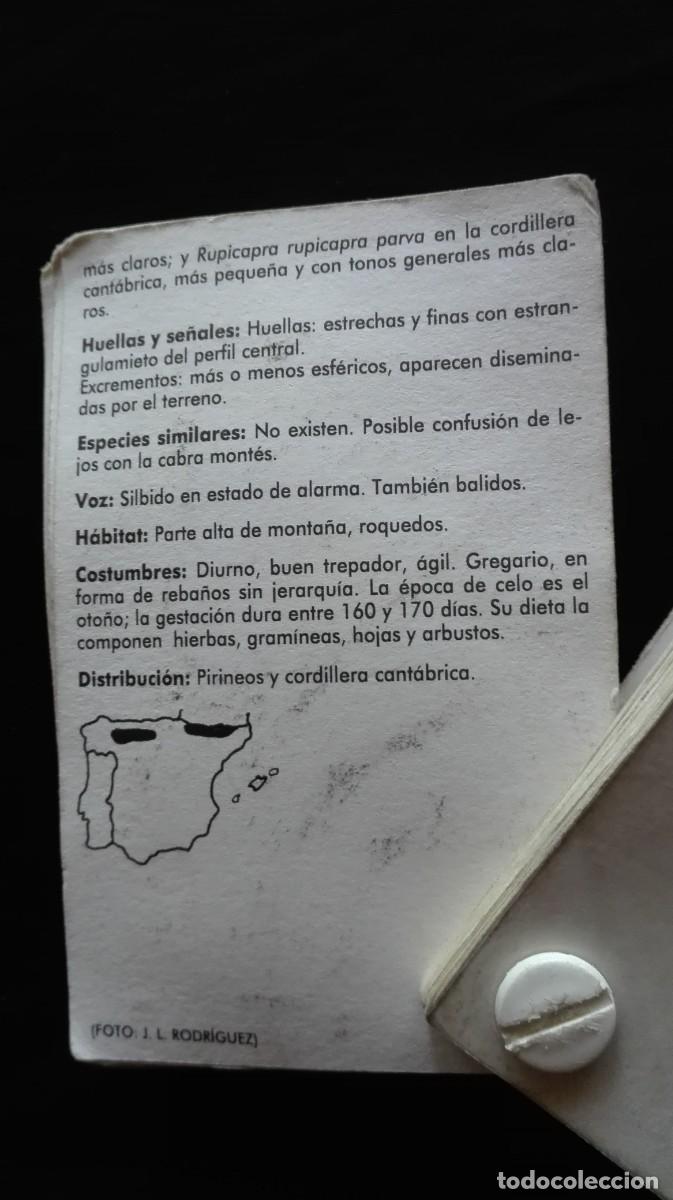 Libros: GUIA MAMIFEROS IBERICOS - Foto 5