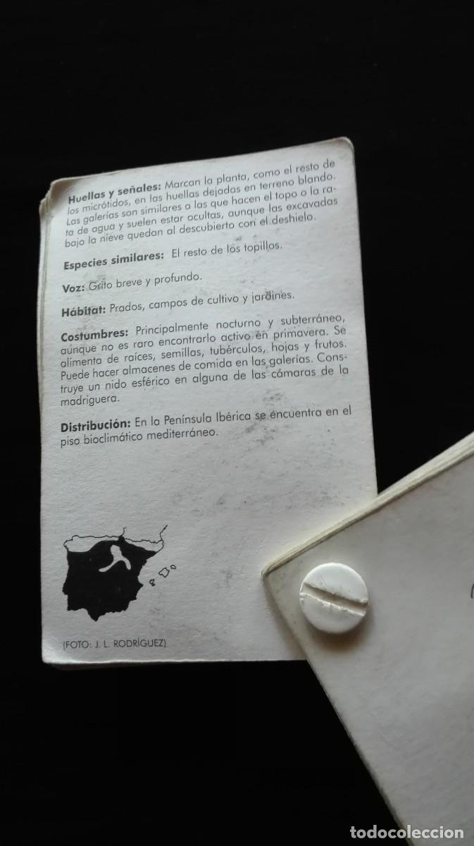 Libros: GUIA MAMIFEROS IBERICOS - Foto 7