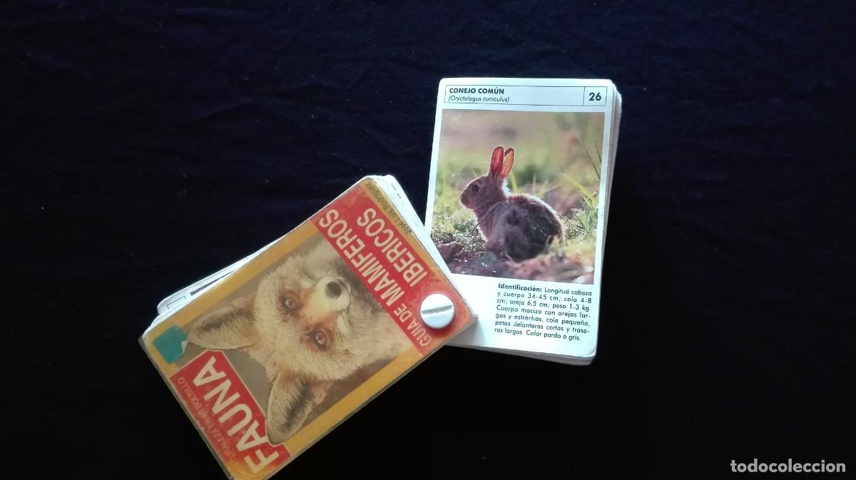 Libros: GUIA MAMIFEROS IBERICOS - Foto 8