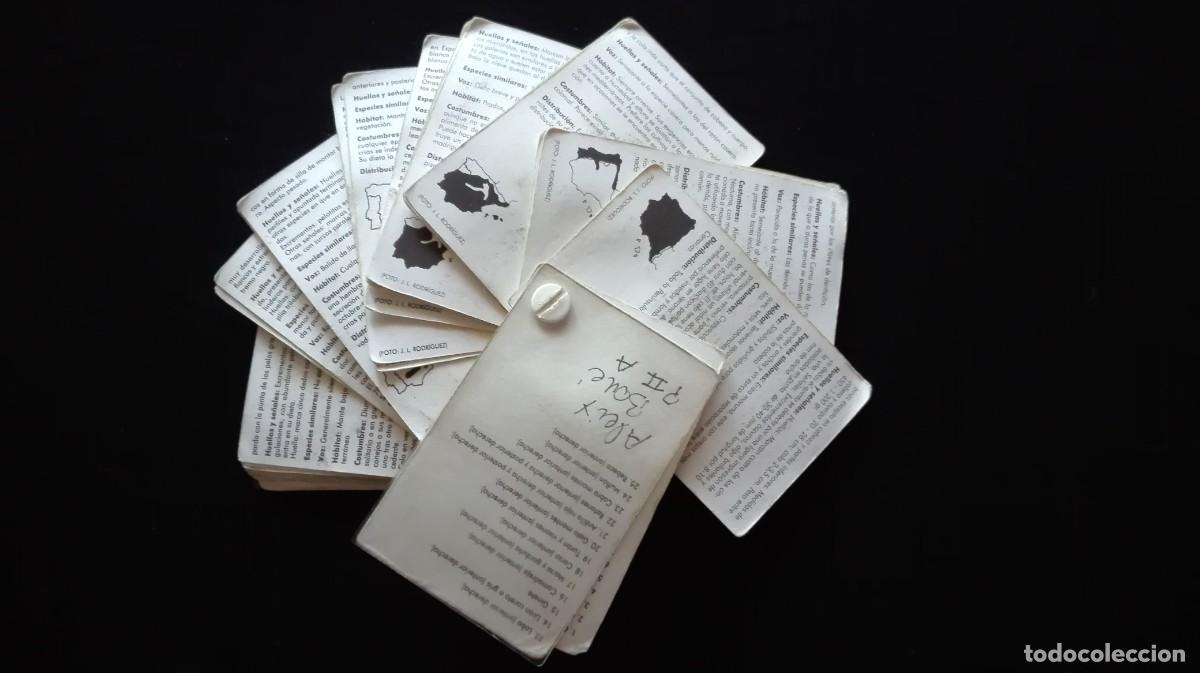 Libros: GUIA MAMIFEROS IBERICOS - Foto 10