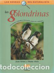 Libros: LAS GOLONDRINAS - Jean Seriot - Foto 1