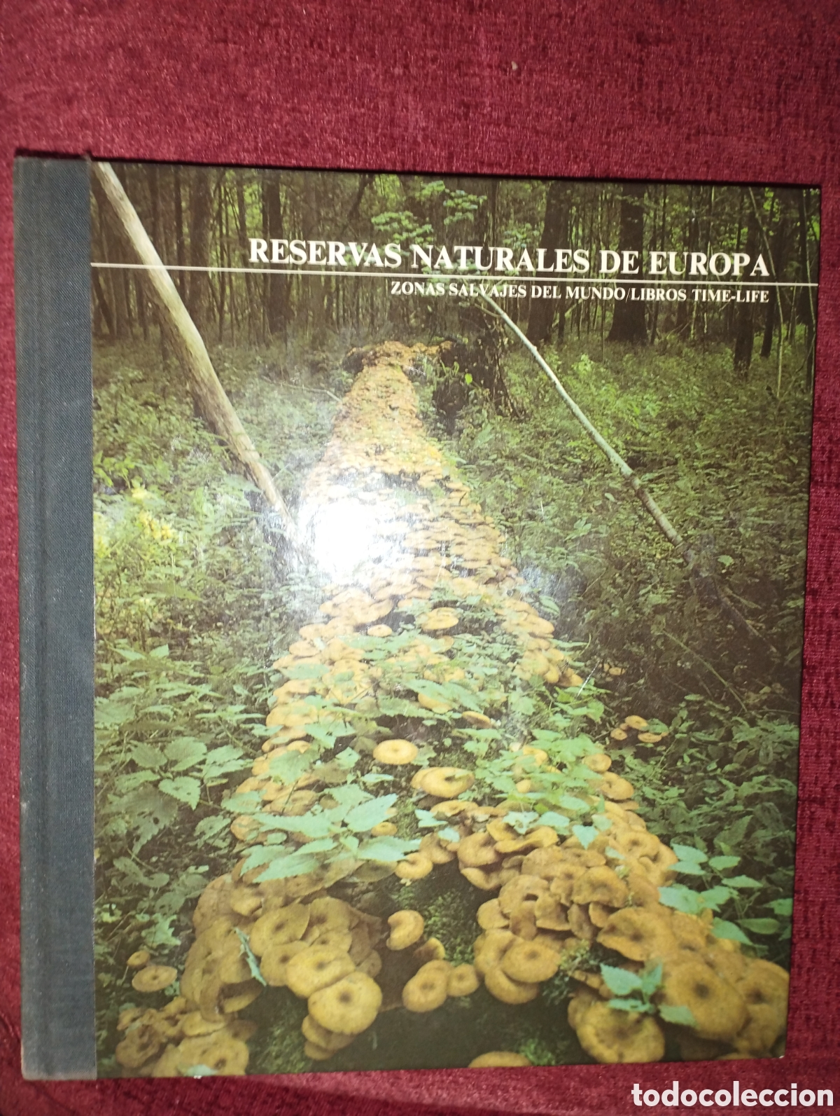 Libros: Reservas naturales de Europa - Foto 1