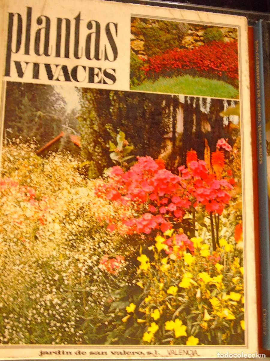 Libros: PLANTAS VIVACES - Foto 1