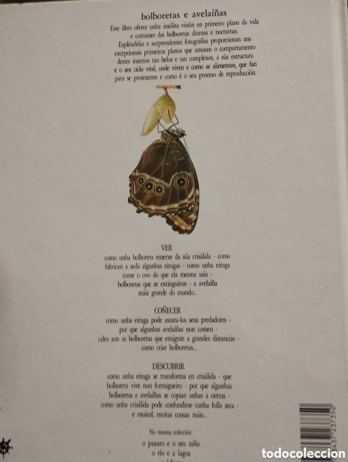 Libros: Bolboretas e avelai&ntilde;as - Foto 2