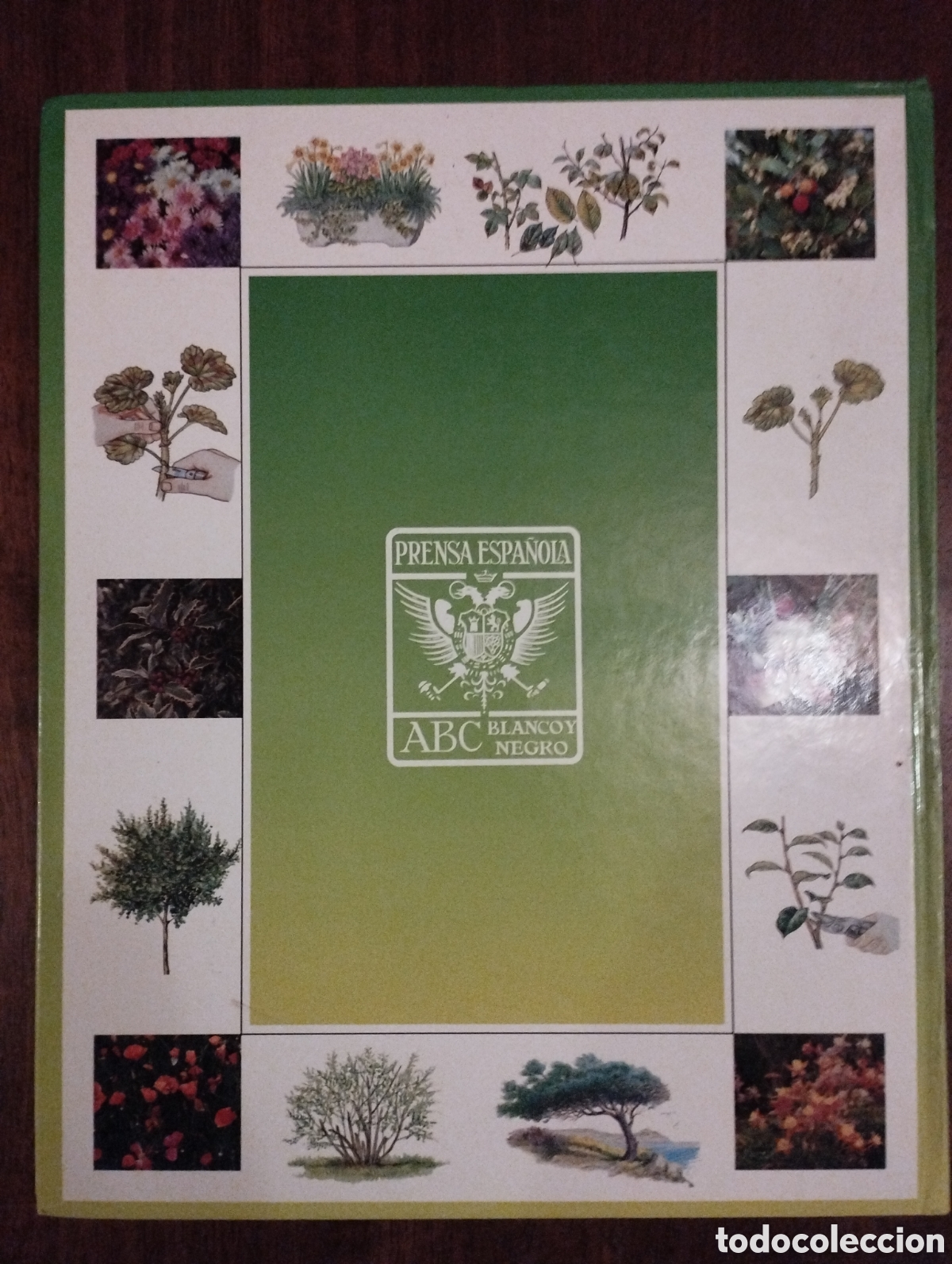 Libros: El libro de oro de las plantas y los jardines - Foto 2