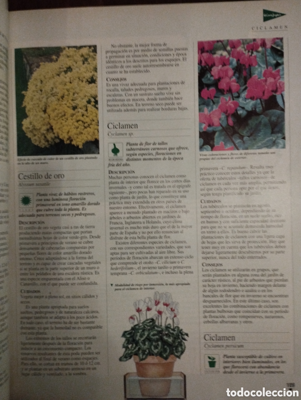 Libros: El libro de oro de las plantas y los jardines - Foto 6