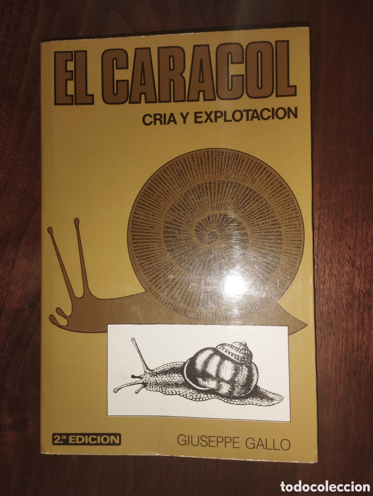 Libros: El caracol cr&iacute;a y explotaci&oacute;n - Foto 1