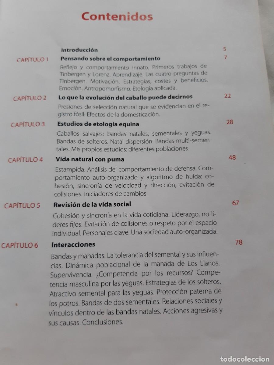 Libros: Caballos en compa&ntilde;&iacute;a Lucy Rees - Foto 2