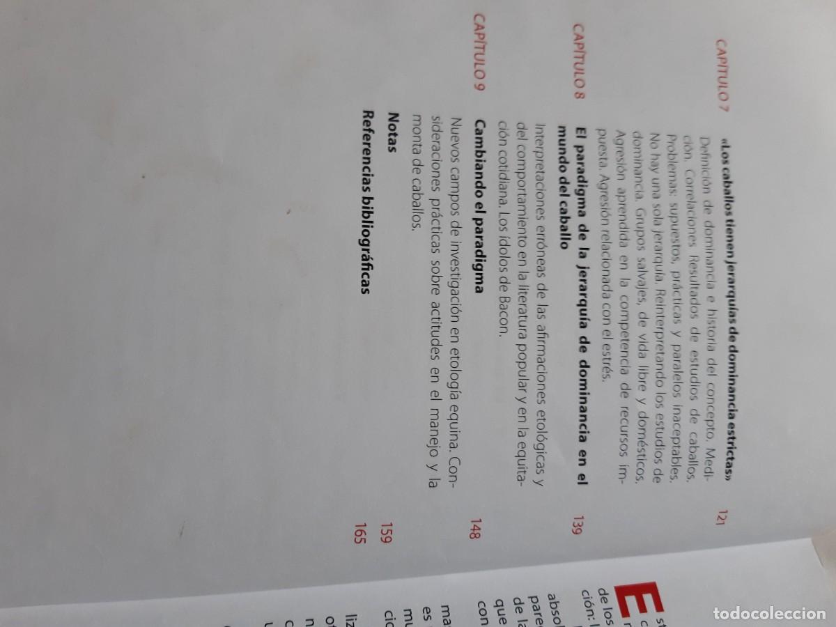 Libros: Caballos en compa&ntilde;&iacute;a Lucy Rees - Foto 3