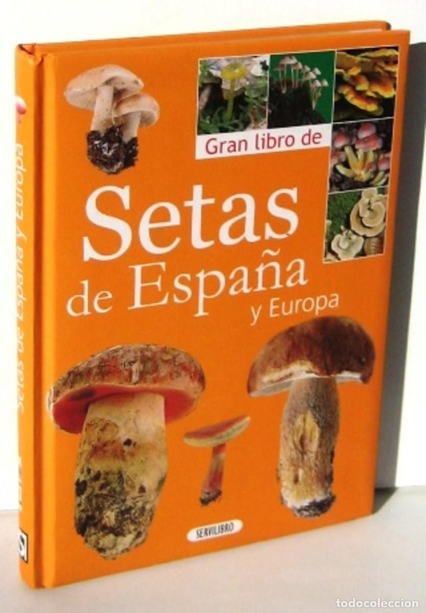 Libros: GRAN LIBRO DE SETAS DE ESPA&Ntilde;A Y EUROPA - Foto 1