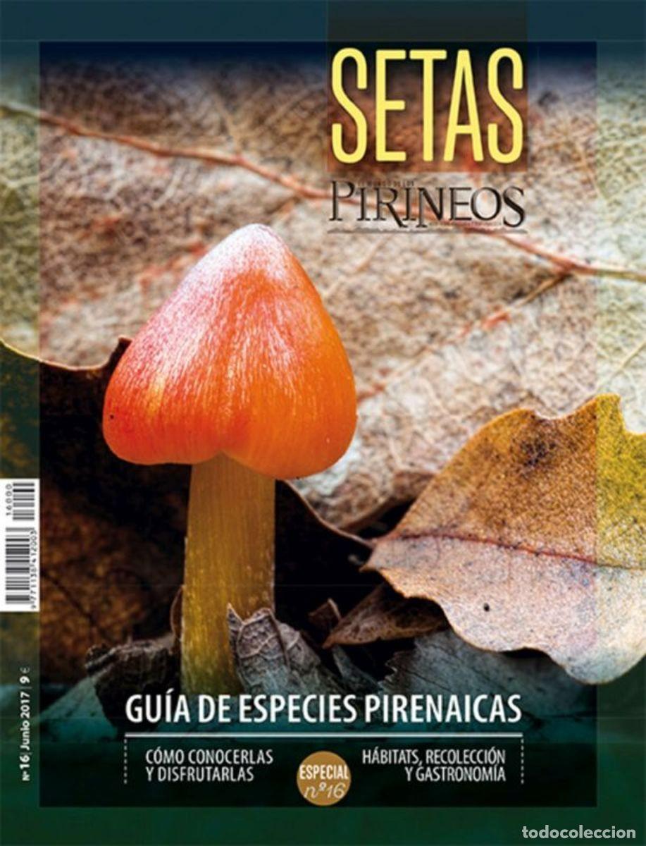 Libros: SETAS DEL PIRINEO - Foto 1