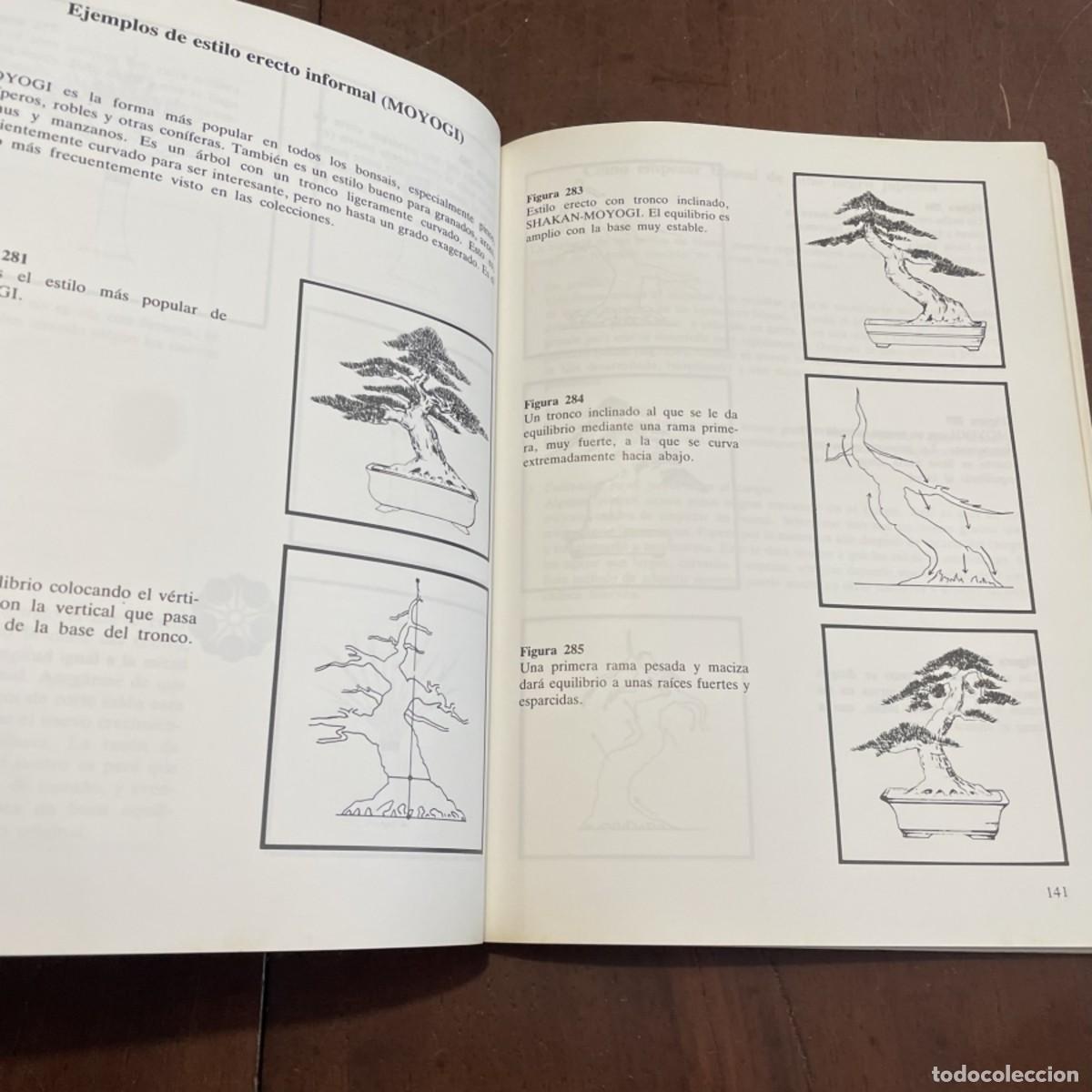 Libros: TECNICAS DE BONSAI I - Foto 2