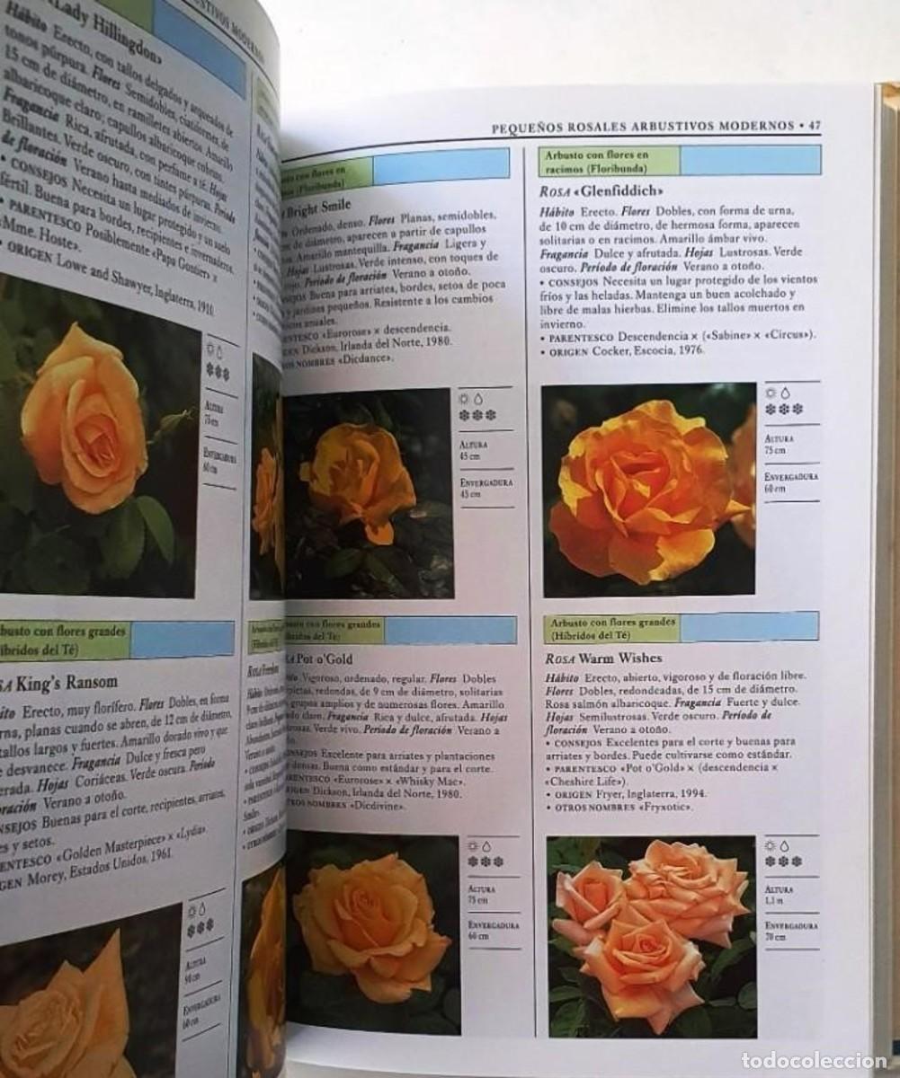 Libros: ROSAS: MANUAL DE IDENTIFICACION - Foto 2