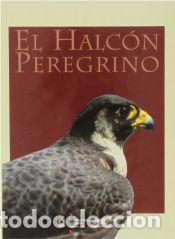 Libros: El halc&oacute;n peregrino - VARIOS - Foto 1