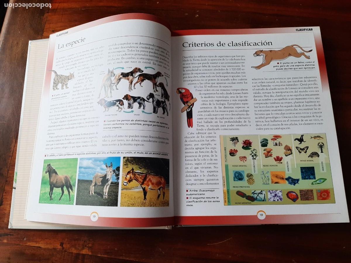 Libros: GRAN LIBRO DE LA NATURALEZA. TODOLIBRO. - Foto 5