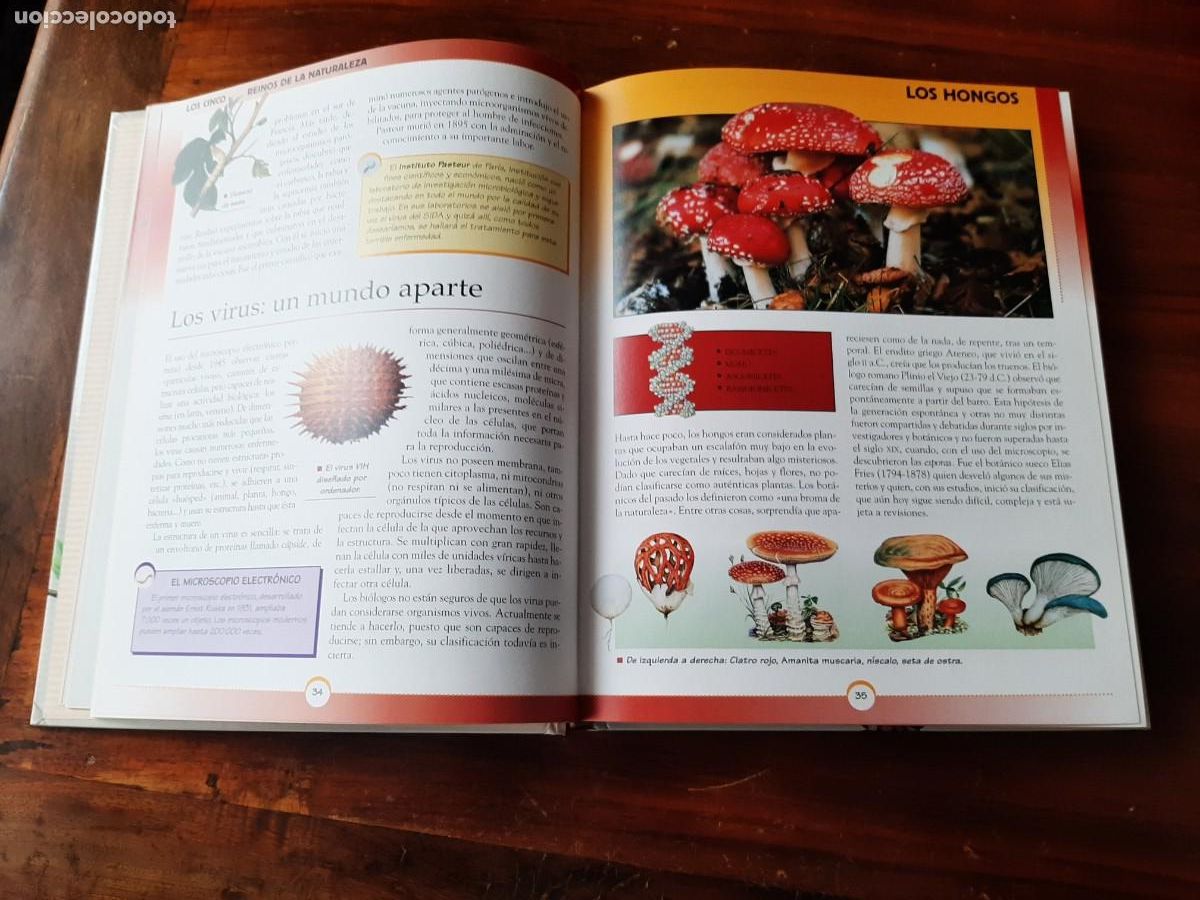 Libros: GRAN LIBRO DE LA NATURALEZA. TODOLIBRO. - Foto 6