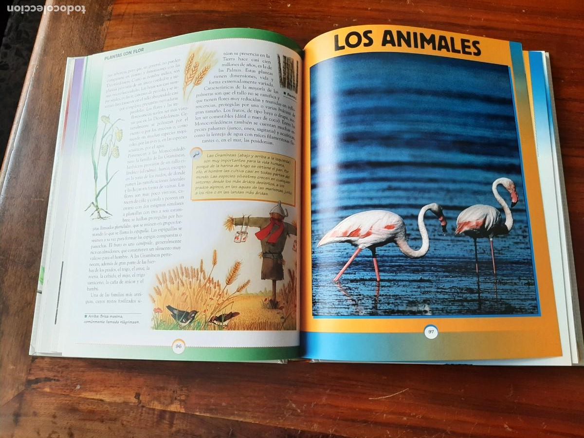 Libros: GRAN LIBRO DE LA NATURALEZA. TODOLIBRO. - Foto 8