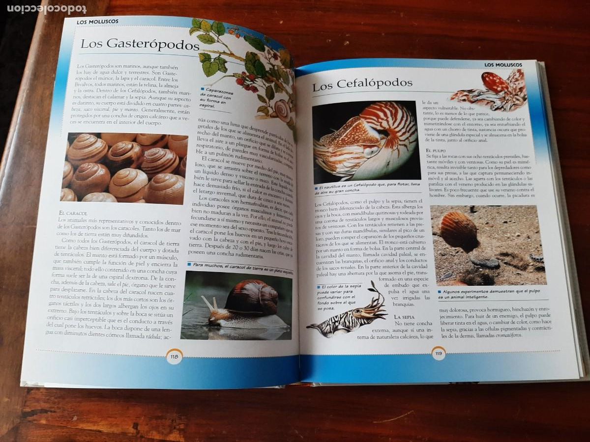 Libros: GRAN LIBRO DE LA NATURALEZA. TODOLIBRO. - Foto 9