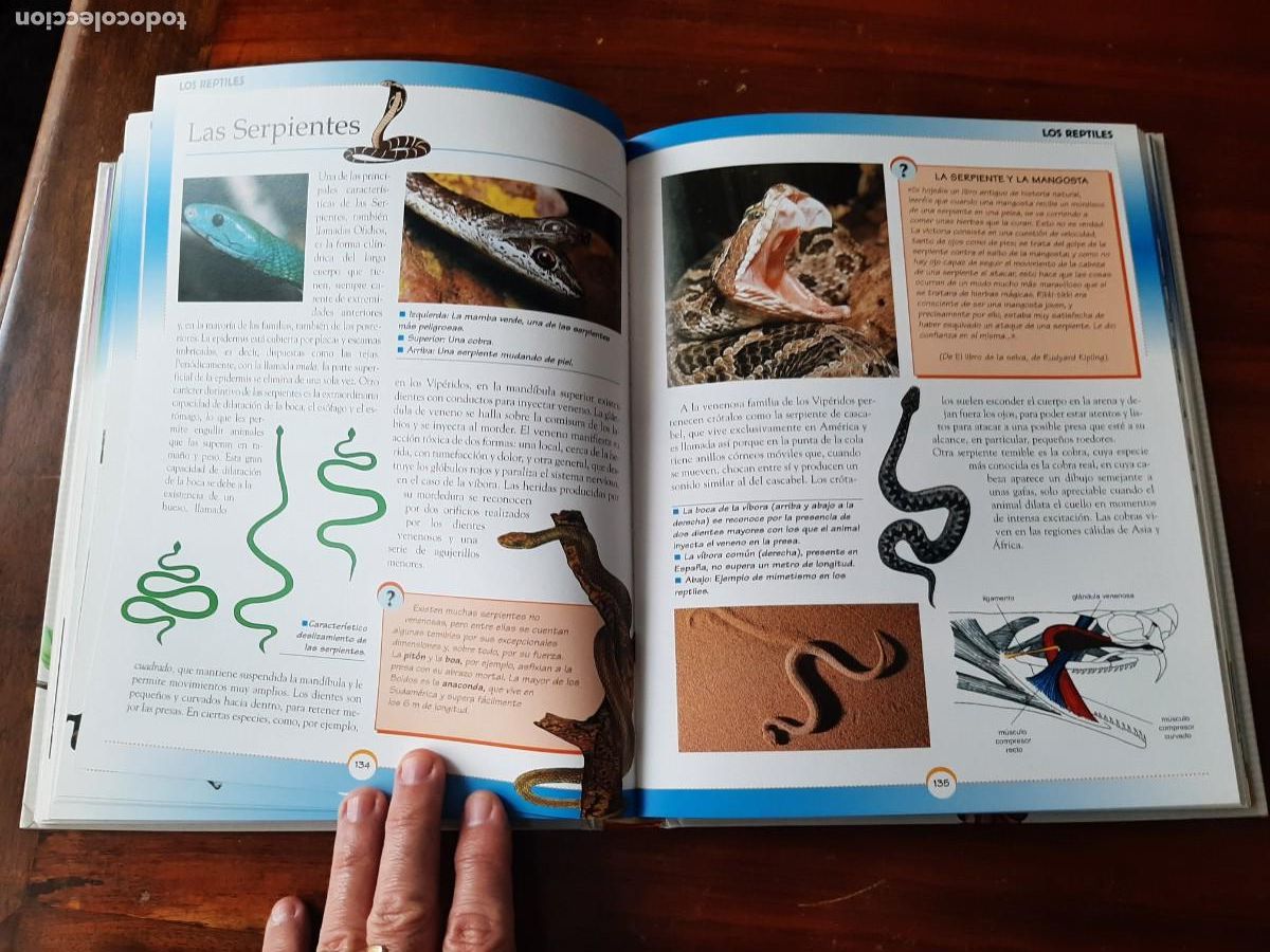 Libros: GRAN LIBRO DE LA NATURALEZA. TODOLIBRO. - Foto 10