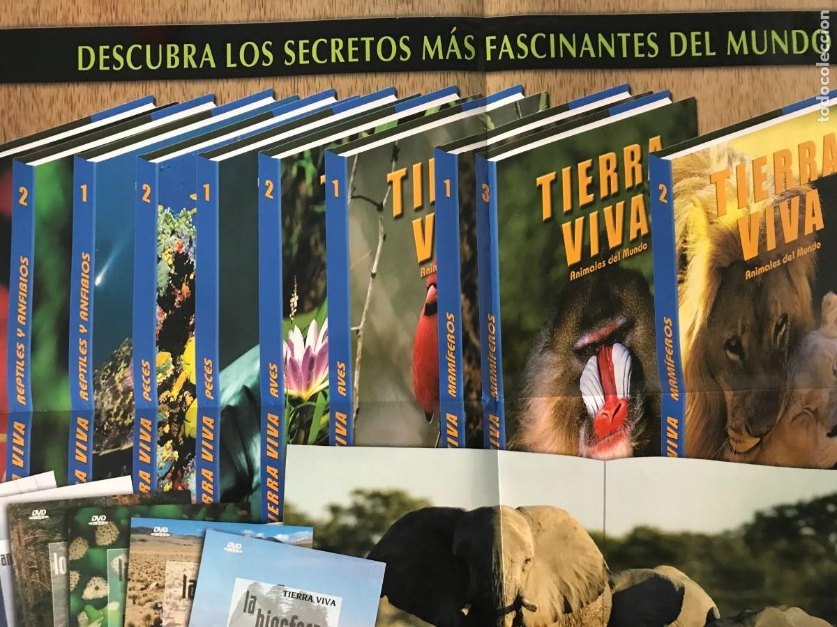 Libros: Animales del mundo, 10 tomos - Foto 1