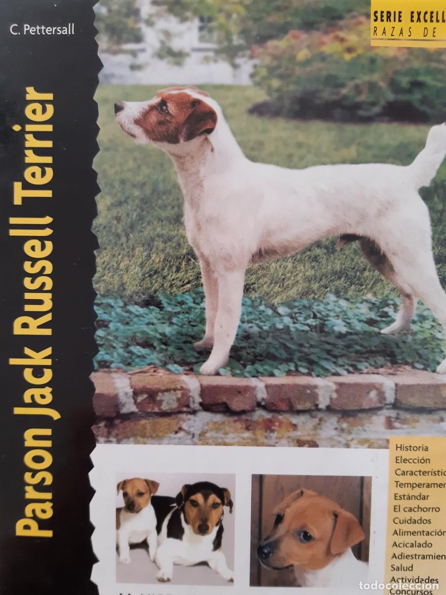 Libros: Parson Jack Russell Terrier C. Pettersall - Foto 1