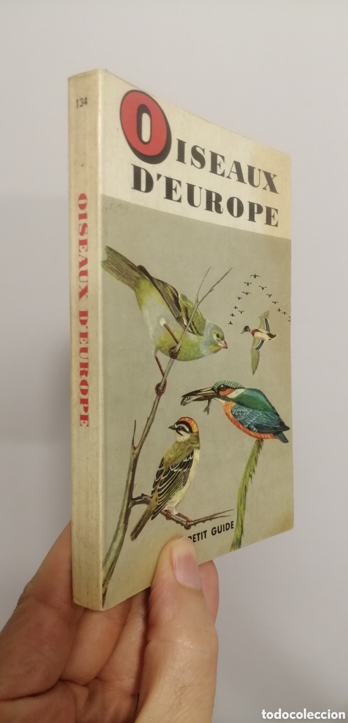 Libros: Oiseaux dEurope Le petit guide Hachette 1967 - Foto 2