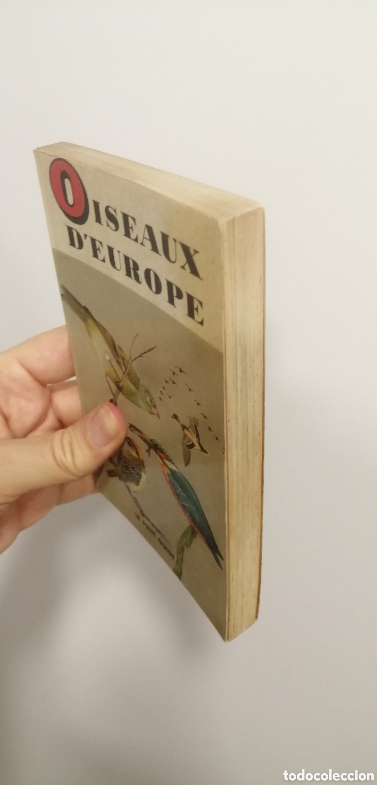 Libros: Oiseaux dEurope Le petit guide Hachette 1967 - Foto 3