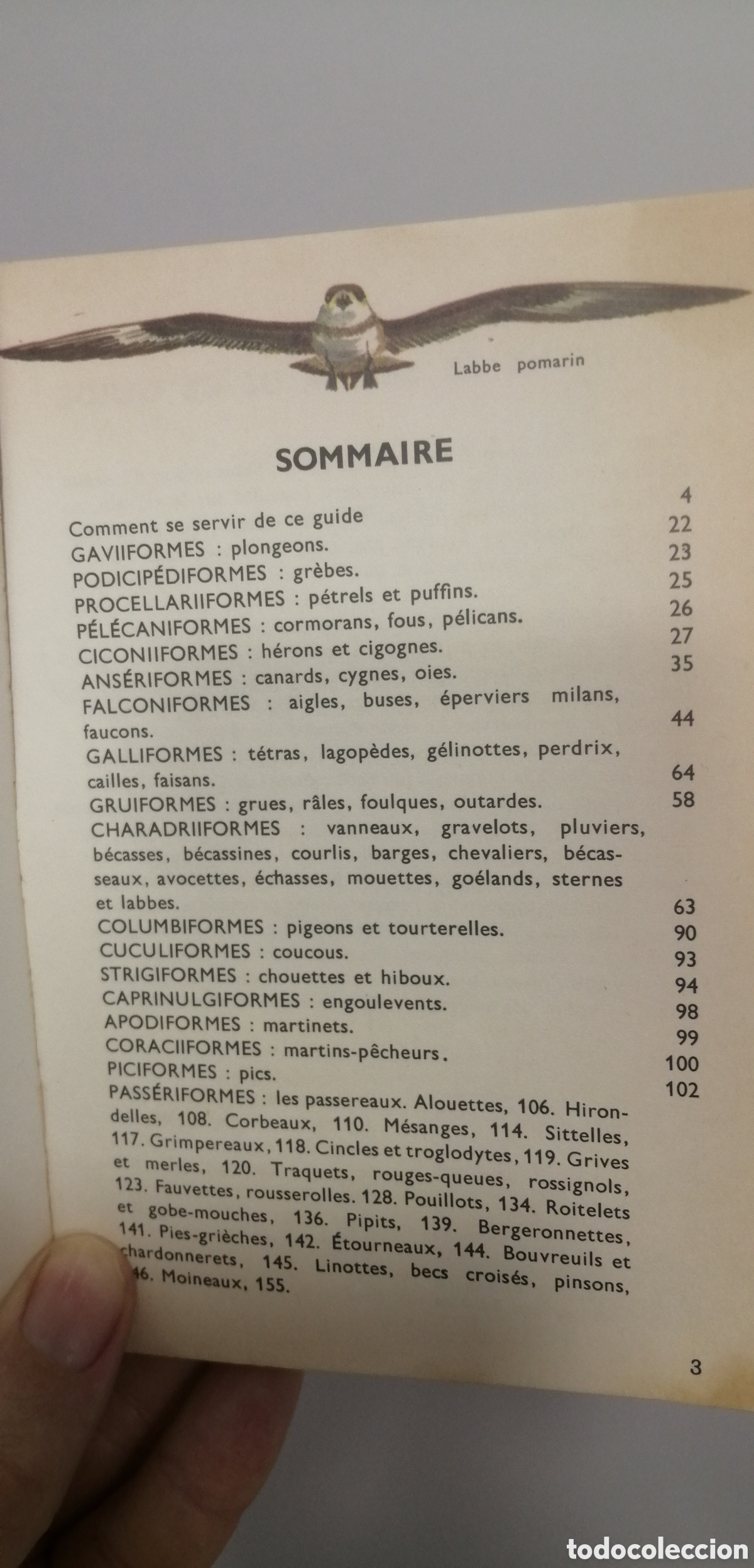 Libros: Oiseaux dEurope Le petit guide Hachette 1967 - Foto 5
