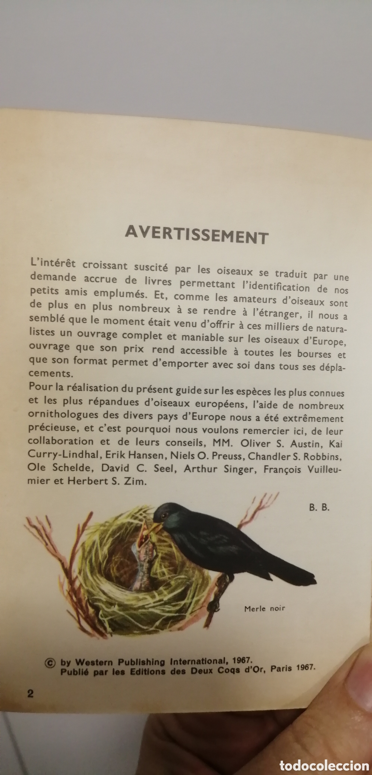 Libros: Oiseaux dEurope Le petit guide Hachette 1967 - Foto 6