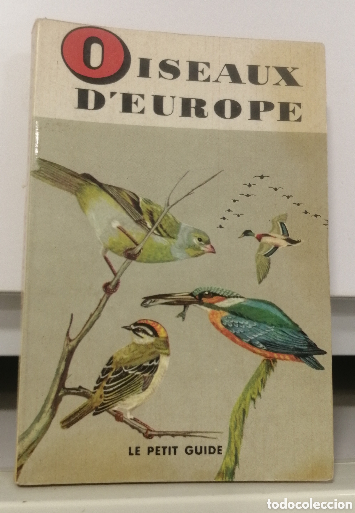 Libros: Oiseaux dEurope Le petit guide Hachette 1967 - Foto 1
