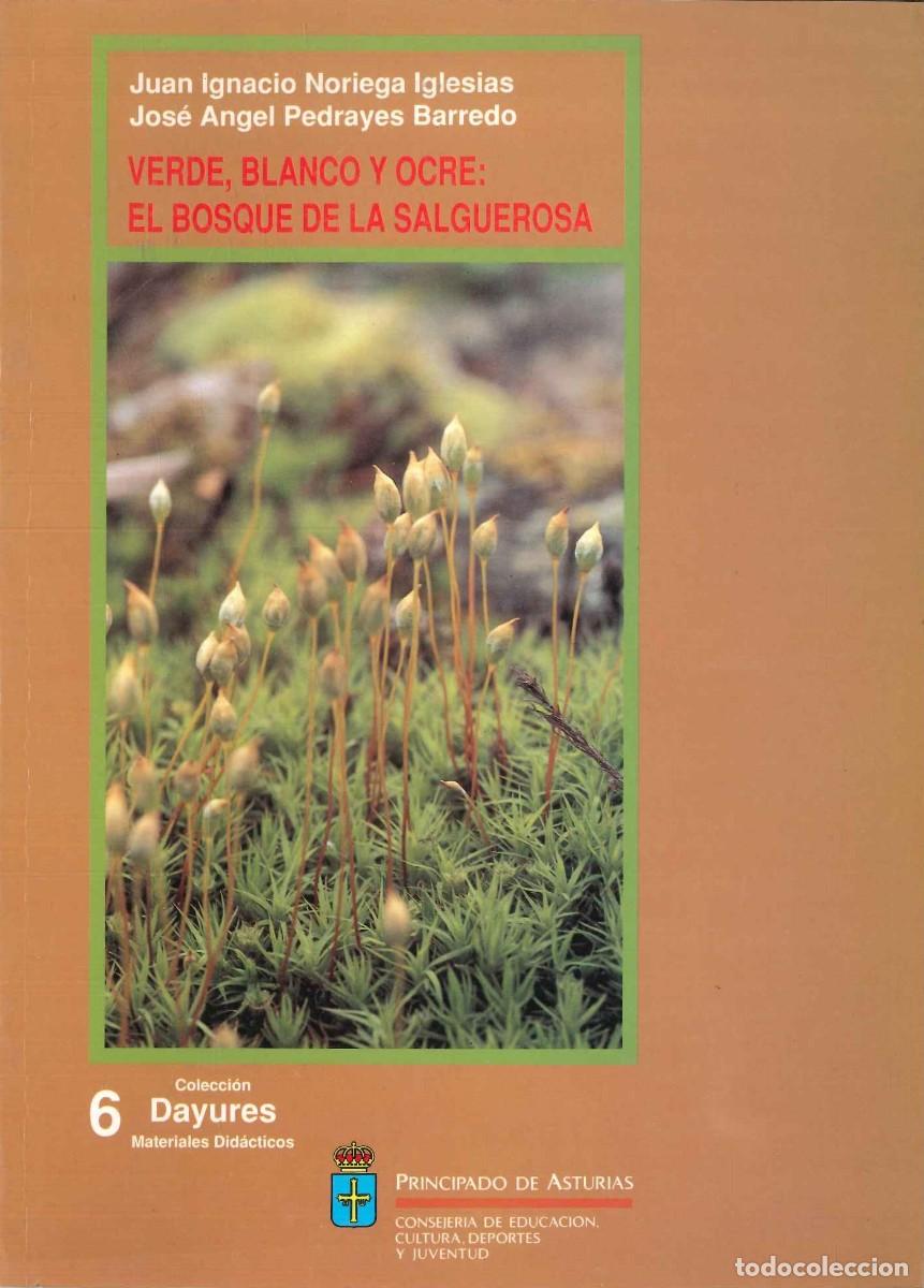 Libros: VERDE, BLANCO Y OCRE: EL BOSQUE DE LA SALGUEROSA - Foto 1